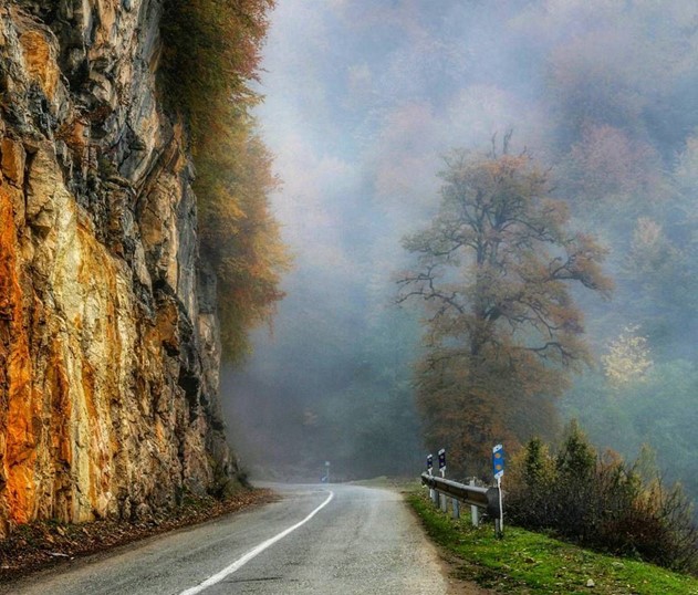 طبیعت وجنگل های رامسر