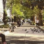 پارک سبز میدان رشت