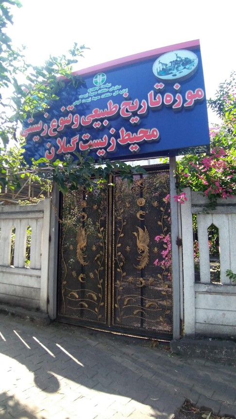 موزه تاریخ طبیعی