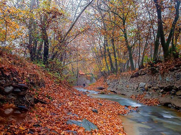 آغشت کردان