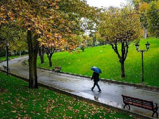 طبیعت پارک ملت تهران
