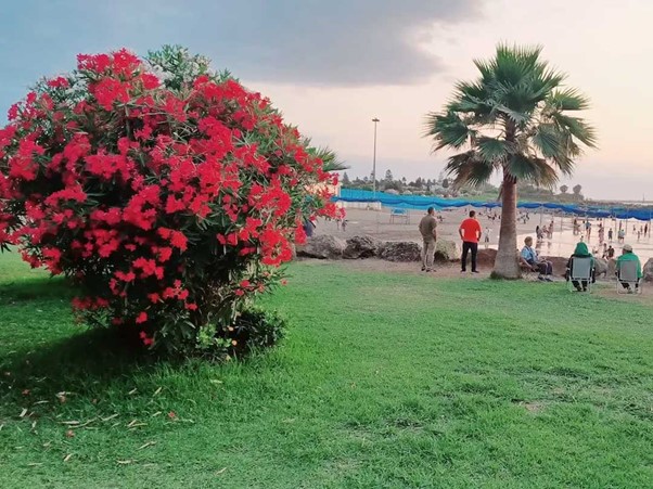 ساحل دریاکنار بابلسر