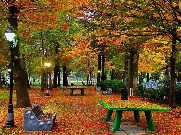 باغ محتشم رشت در فصل پاییز