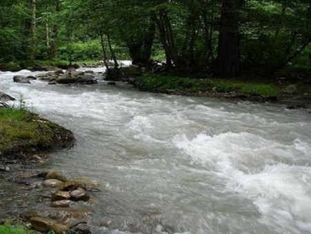 نمایی از رودخانه کردان در دل طبیعت