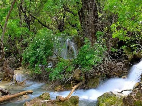 جنگل شهر کوهی خیل با رودخانه ای خروشان