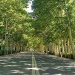 مسیر دستیابی به چهار باغ کردان