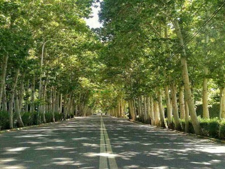 مسیر دستیابی به چهار باغ کردان