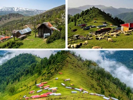 بهترین زمان سفر به بام سبز ماسال