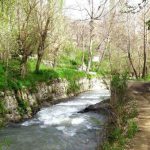 طبیعت زیبای اطراف پل کردان