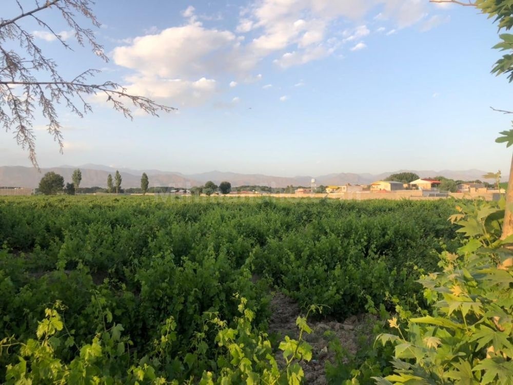 سهیلیه کرج