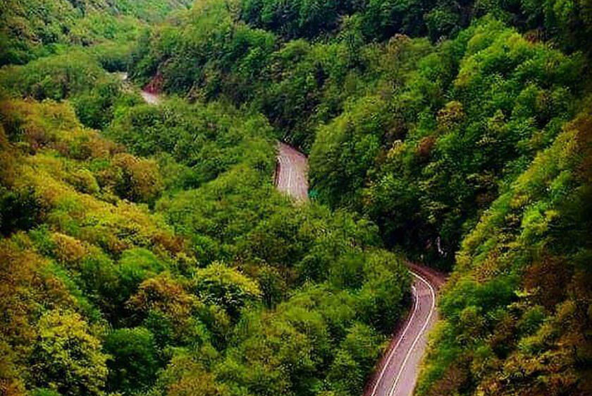 جنگل های مازندران
