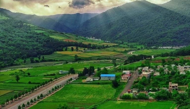بهترین جنگل های مازندران