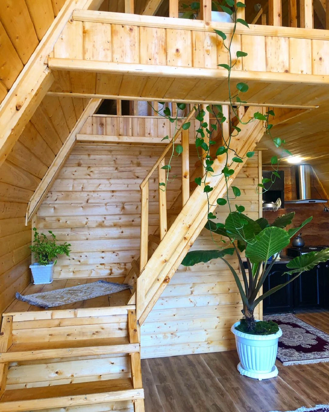 کلبه سوئیسی گل رز