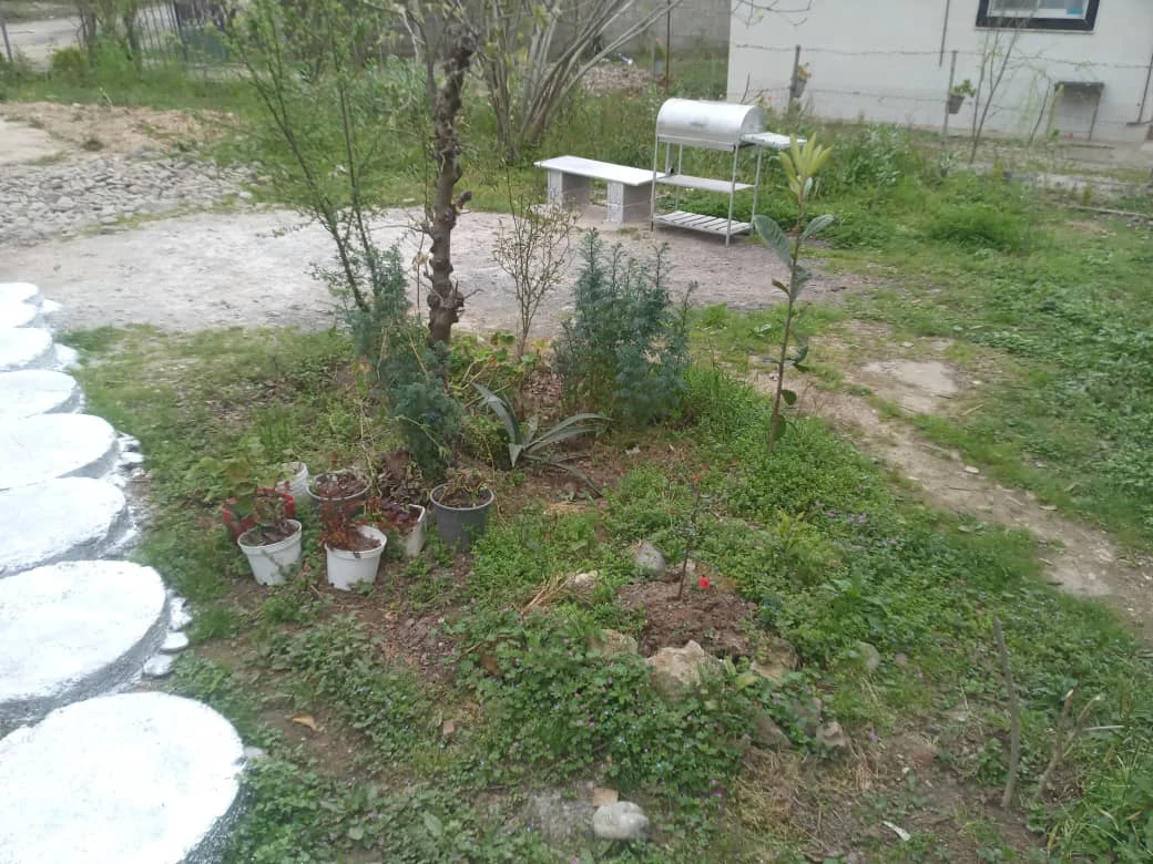 کلبه دوخوابه حمید ماسال
