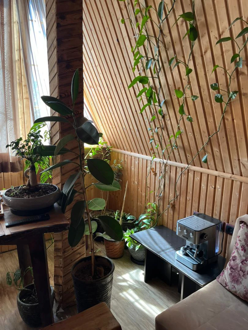 کلبه دوخواب سردار ماسال