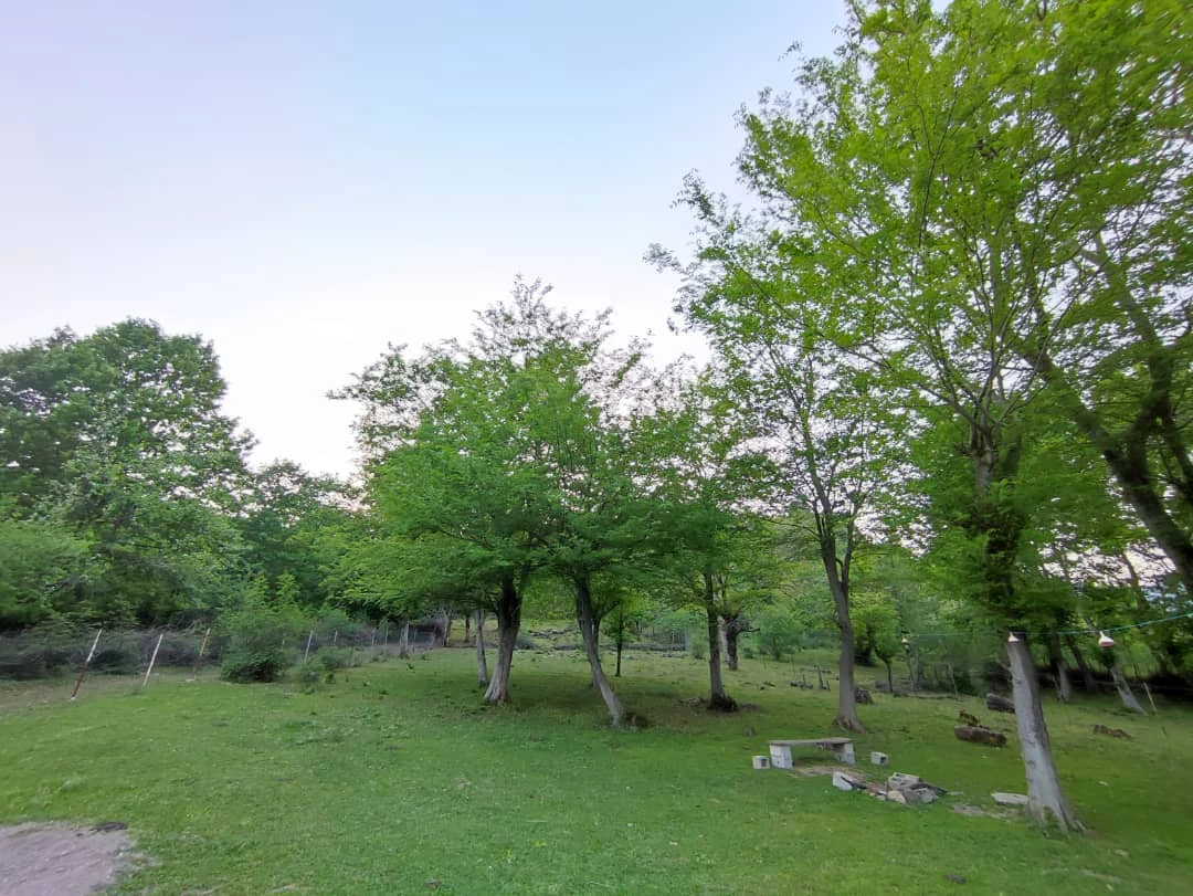 ویلا سنتی طبیعت ماسال