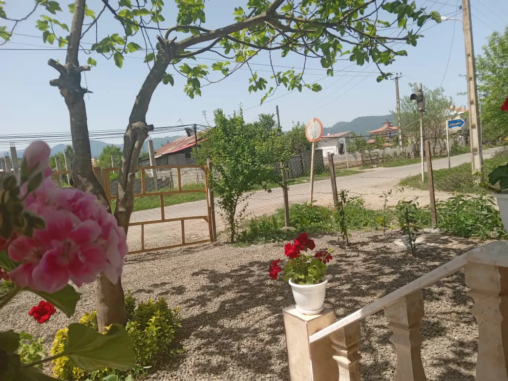 ویلای تک خواب شکوفه بهاری ماسال