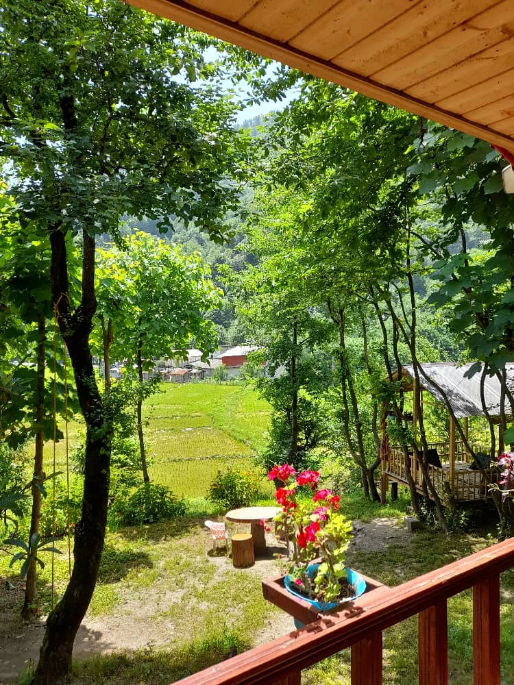 کلبه ییلاقی تک خواب خرسند ماسال