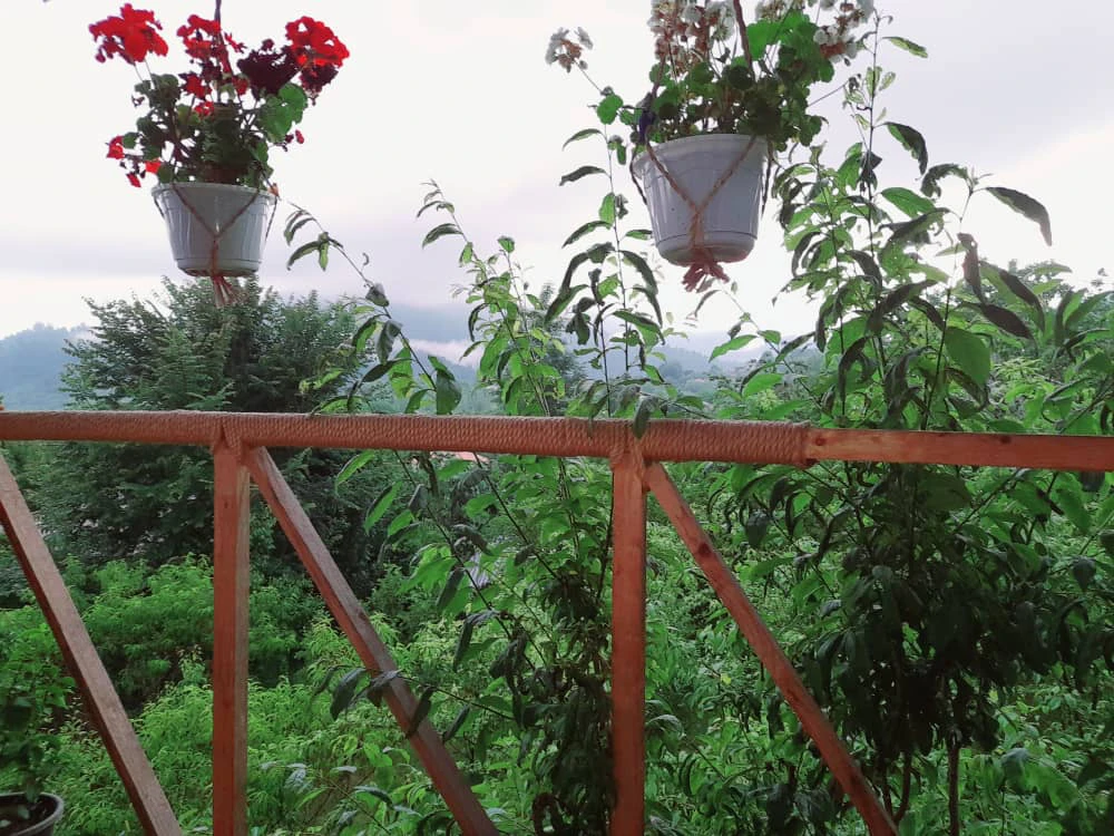 کلبه تک خواب آراد ماسال