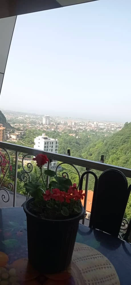 واحد دو خوابه کاج 2 رامسر