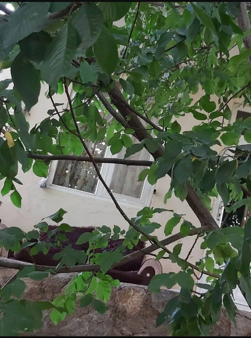 سوئیت تک خواب صدرا کردان