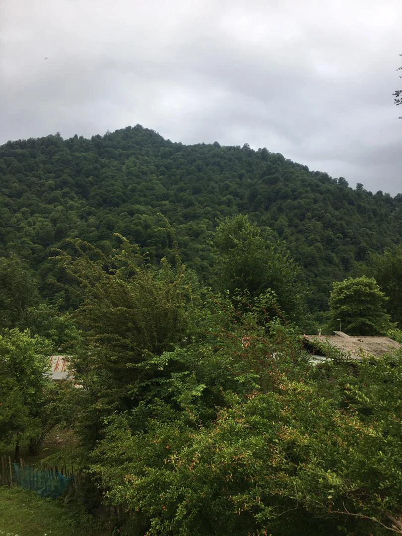کلبه آرام