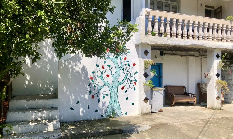 اجاره ویلا جنگلی حیاط دار زیبا دارای رودخانه رامسر