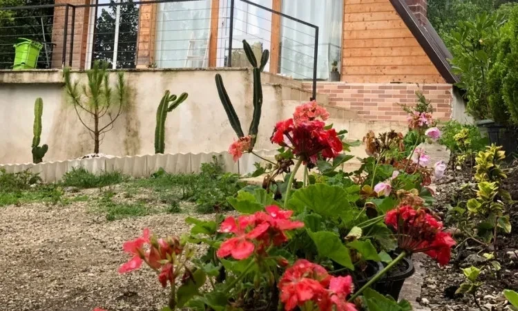 رزرو کلبه جنگلی جکوزی دار رامسر