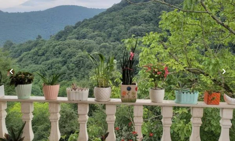 ویلا جنگلی آقایی رشت