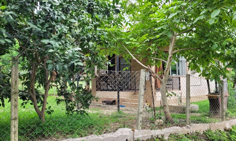 اجاره ویلا چوبی جنگلی حیاط دار ماسال