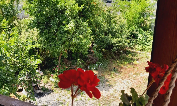 اجاره کلبه چوبی روستایی فوق العاده ماسال