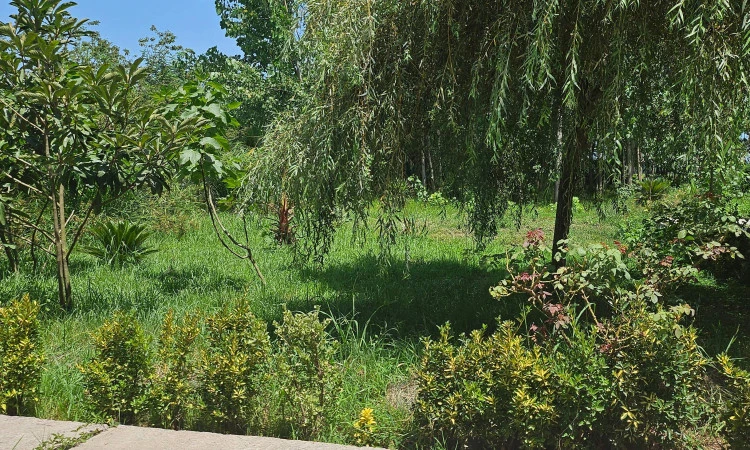 اجاره کلبه سوئیسی یکتا رشت
