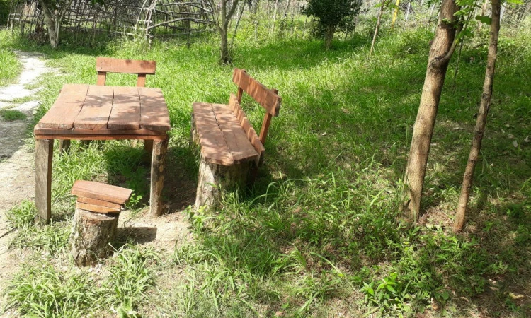 اجاره کلبه روستایی مجید ماسال