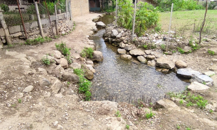 اجاره ویلا چوبی ، روستایی  ماسال