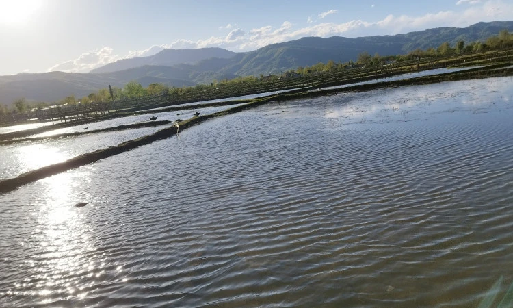 اجاره ویلا روستایی با فوتبال دستی ماسال