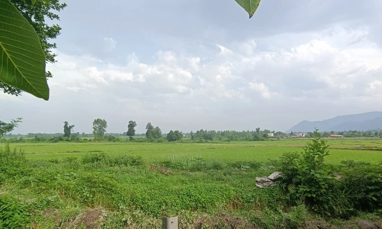 اجاره ویلا روستایی خوش آب و هوا ماسال