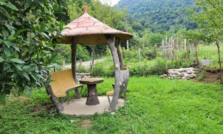 اجاره ویلا چوبی جنگلی حیاط دار ماسال