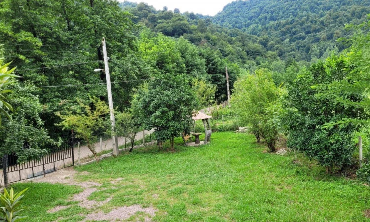 اجاره ویلا چوبی جنگلی حیاط دار ماسال