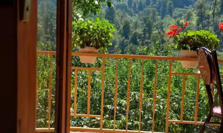 اجاره سوئیت روستایی قشنگ ماسال