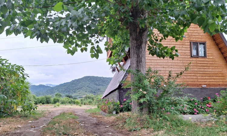 کلبه سوئیسی چوبی روستایی محبت ماسال