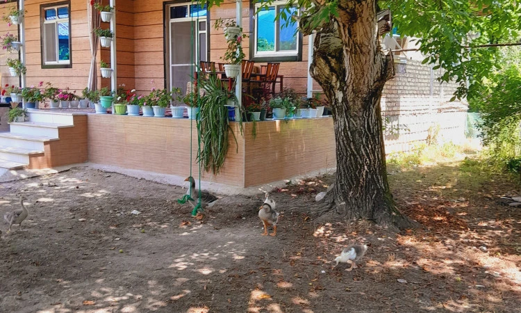 اجاره ویلا روستایی باغچه ماسال