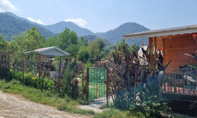 اجاره سوئیت چوبی زیبا ماسال
