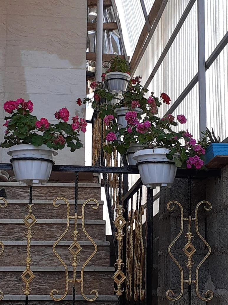 ویلای دربست کیمیا فومن
