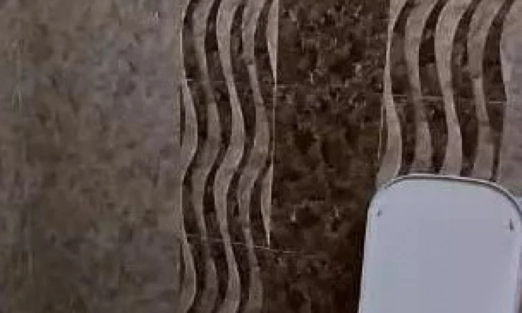 شاسوسا (واحد سه تخته پنج دری)