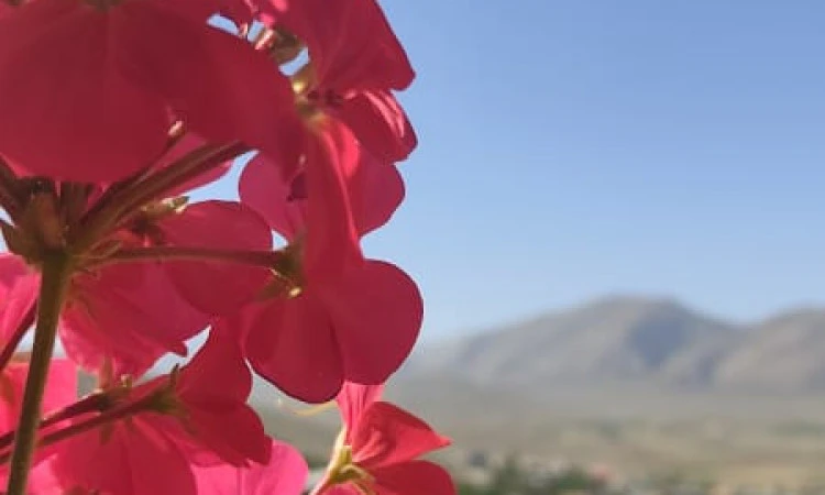 اقامتگاه نگهدار (اتاق 7) خوانسار