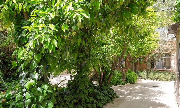 اقامتگاه باغ ایرانی شیراز (حسین پناهی)
