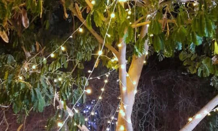 بوم گردی آگنی هرمز ( اتاق آگنی )