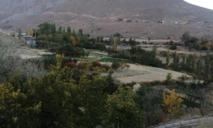 اقامتگاه عارفعلی خواجه شاهی زرند