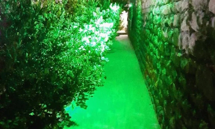 بوم گردی دوگ دلارام تنگستان ( واحد صدف )