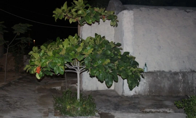 بوم گردی مدالی قشم (اتاق 4نفره)